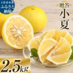 R8発送 オレンジ園の小夏 2.5kg