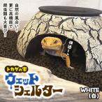 ウェットシェルター:White