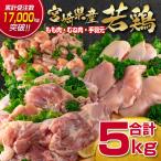 訳あり 産若鶏 鶏肉5kg もも肉 むね肉 手羽元