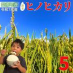先行受付 ヒノヒカリ 5kg