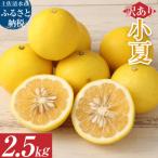 R8発送 オレンジ園の小夏2.5kg 日向夏