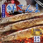 鮮さんま8尾入 計1kg