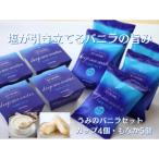 うみのバニラセット アイスクリーム 9個入り