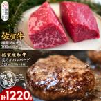 佐賀牛 赤身ブロック700g 柔らかハンバーグ4個