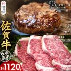 佐賀牛 サーロインステーキ3枚 柔らかハンバーグステーキ4個