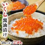 ふるさと納税 岩内町 いくら醤油漬け 250g(50g×5)【2025年12月発送】 045-a008-12
