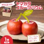 YAMAGATA FRUITS BAUM