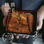 あなご 料理専門店の~ふっくら肉厚~ 特撰
