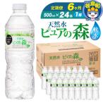 ふるさと納税 板倉町 水 《定期便6ヶ月》 ピュアの森 500ml 24本×1箱|13_vic-012406