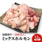 羽後和牛ミックスホルモン焼肉 羽後和牛