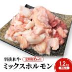 羽後和牛ミックスホルモン焼肉 羽後和牛