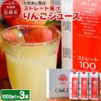 りんごジュース ストレート果汁 1000ml×3本
