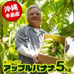 浜ファームのアップルバナナ 5kg