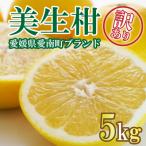訳あり 美生柑 みしょうかん 約 5kg