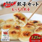 <愛媛のおいしい餃子セット もっちり餃子 125個
