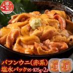 ふるさと納税 根室市 ＜12/17まで年内配送＞バフンウニ(赤系)塩水P95〜105g×2P B-74002