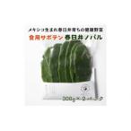 メキシコ生まれ春日井育ちの健康野菜 食べるサボテン