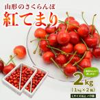 ふるさと納税 山形市 山形のさくらんぼ 紅てまり 2kg L以上 バラ詰 (1kg×2箱) 【令和8年産】FS25-009