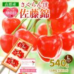 ふるさと納税 山形市 【母の日】さくらんぼ佐藤錦540gLサイズ以上(180g×3パック) 【令和8年産】FS25-014