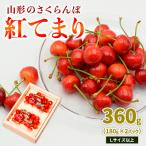 fu.... налог Yamagata город Yamagata. вишня ....360g L и больше (180g×2 упаковка ) [. мир 8 год производство ]FS25-016