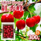 fu.... налог Yamagata город Yamagata город производство вишня [. превосходящий .]2L размер 300g роза ..[. мир 8 год производство ]FS25-033