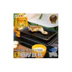 IW60-07A イワタニ 炉ばた焼器専用