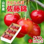 ふるさと納税 山形市 さくらんぼ(佐藤錦) Lサイズ 540g(180g×3パック) 【令和8年産】FS25-045