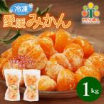 冷凍愛媛みかん 500g×2袋