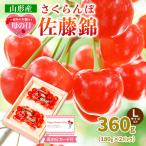 ふるさと納税 山形市 【母の日】さくらんぼ佐藤錦360gLサイズ以上(180g×2パック) 【令和8年産】FS25-013