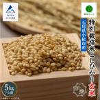 ふるさと納税 小松市 コシヒカリ 玄米 5kg 令和7年産 新米 特別栽培米こしひかり 【農家ふじた】