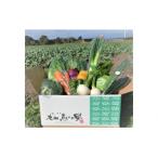 セット 詰合せ 新鮮朝採れ野菜セット