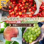 山形の産直所でのベスト3 FZ25-223