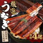 ヤマジュウ厳選うなぎ4尾 ウナギ 鰻 土用の丑の日
