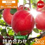 りんご 早生 品種おまかせ 3kg