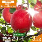 りんご 早生 品種おまかせ 秀品 3kg