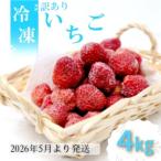 ふるさと納税 小郡市 訳あり いちご 白木のいちご 旬のおいしさそのまま 冷凍いちご 4kg[No5354-2275]