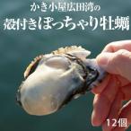 fu.... налог суша передний takada город [ предшествующий прием ]. имеется .......12 шт. комплект одиночный si-do устрица ..