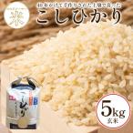 令和8年産 米 コシヒカリ 5kg