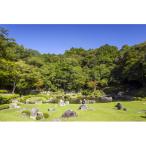 常栄寺庭園保存整備事業 K009