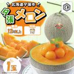 ふるさと納税 夕張市 【先行予約受付中】夕張メロン1玉(糖度12%以上　等級:秀) N7