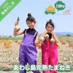 あわじ島完熟たまねぎ 10kg