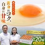 てつやとのりこの玉子 板垣ファーム 卵 たまご