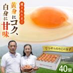 てつやとのりこの玉子 板垣ファーム 卵 たまご