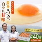 てつやとのりこの玉子 板垣ファーム 卵 たまご