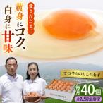 てつやとのりこの玉子 板垣ファーム 卵 たまご