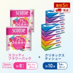 ふるさと納税 岩沼市 ティッシュ+トイレットペーパー2P   [No.5704-1776]