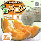 ふるさと納税 夕張市 【先行予約受付中】夕張メロン2玉(糖度11%以上　等級:優) N2