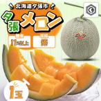 ふるさと納税 夕張市 【先行予約受付中】夕張メロン1玉 (糖度11%以上　等級:優) N1
