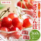 ふるさと納税 河北町 【令和8年産】おまかせさくらんぼ「佐藤錦or紅秀峰」秀L以上 360g (180gフードパック×2)