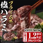 <定期便 全3回 4か月ごとの発送